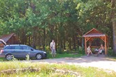 Беловежская пуща... остановка в лесах Белоруссии