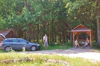 Беловежская пуща... остановка в лесах Белоруссии
