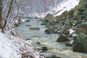 Черга