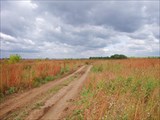 Дорога через поле к Москве-реке