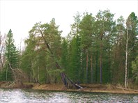 P5230007
