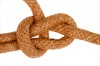 на фото: Bowline knot on cord