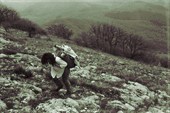 img_1989