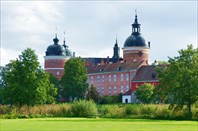 Грипсхольм