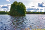 Озеро Ториковское.