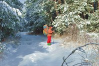 `Берендеево царство`