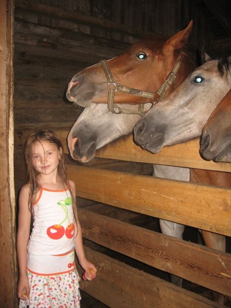 наши коняшки и моя Сашка