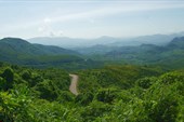 Photo_101