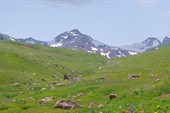 Среди альпийских лугов (на пер.Кырк-Кыз)