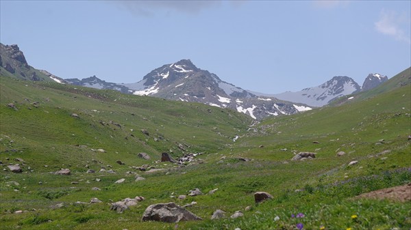 Среди альпийских лугов (на пер.Кырк-Кыз)