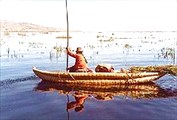 220px-Titicaca