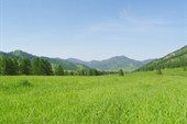По дороге на Каракольское озеро