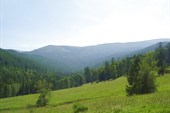 DSC02100