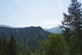 DSC02114