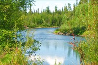 Фото 31. Таежная речка