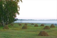 Фото 11. Утро туманное