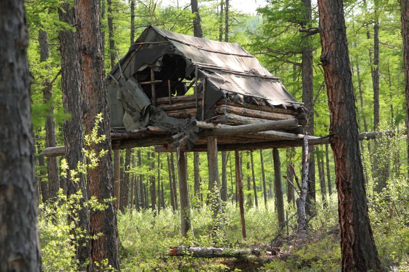 Bushcraft шалаш