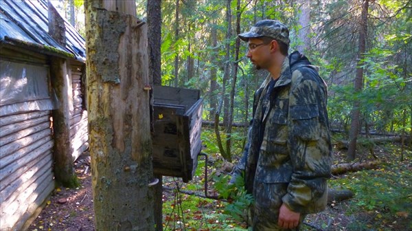 Орехомолка