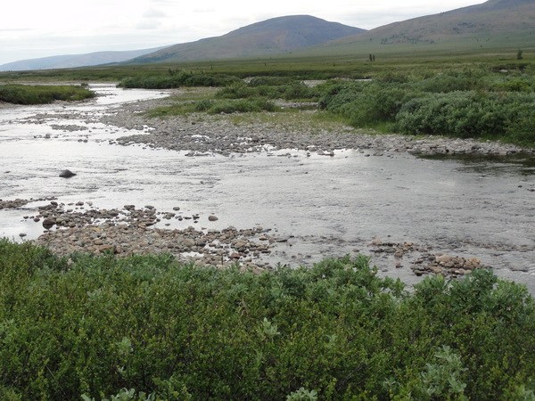 Лаптапай, разлив.