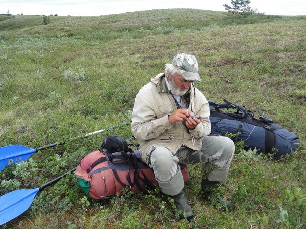 Главное - учет и контроль.