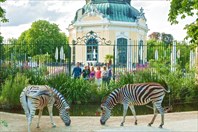 Themenfuehrung_animal_detail_456-Шёнбруннский зоопарк