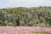 Каменный Лес в нацпарке Шилинь