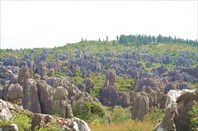 Каменный Лес
