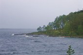 IMG_2416