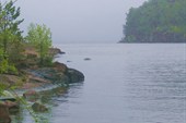 IMG_2420