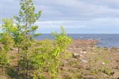 IMG_2479