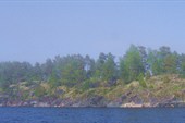 IMG_2581