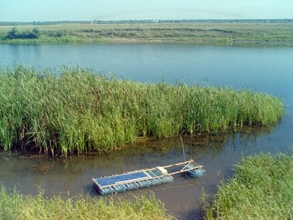 В аппендиксе