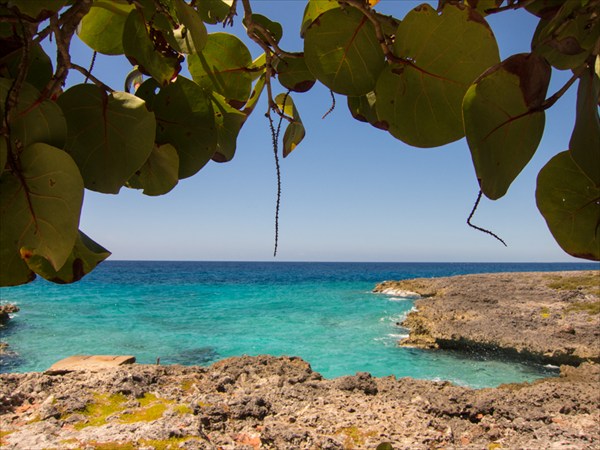 Карибское море