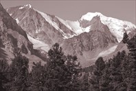 Новый альбом