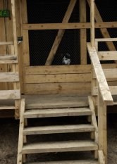 Оздоровительный центр ездового спорта "Северная надежда"