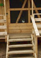 Оздоровительный центр ездового спорта "Северная надежда"-Центр ездового спорта "Северная надежда"