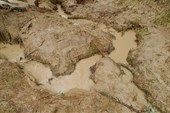 Потоки талой воды
