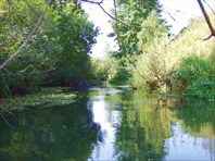 28 вид вверх по притоку Машок