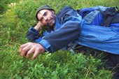 Привал в черничнике