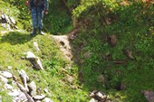 Осмотр вороночек