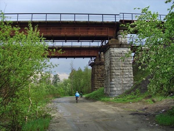 Мост в лесу.