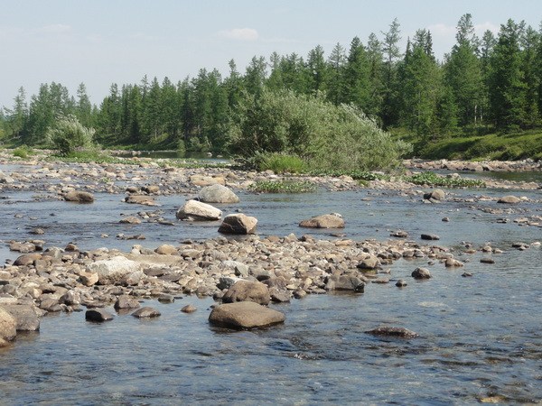 Каменистые косы.