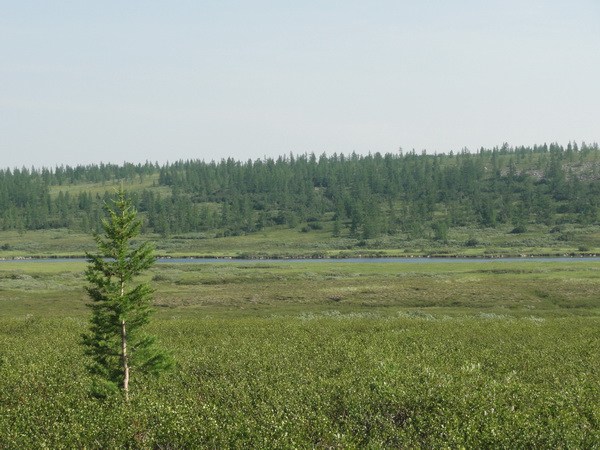 Осталось чуть-чуть!