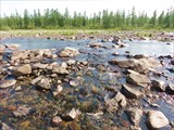 Очень мало воды.