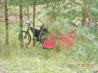 Вело поход по Сызранскому району. Автор: Владимир Малухин
