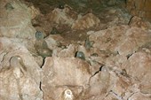 IMG_6388