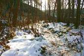 IMG_6408