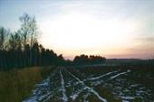 в окрестностях деревни Холохольня