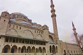 DSC06880