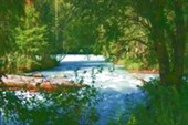 Image1